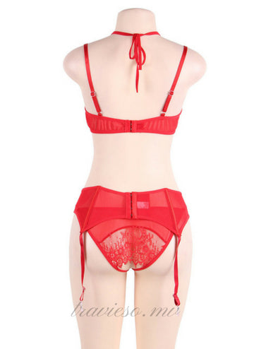 Eyelash Red Lace Bra Panty Set